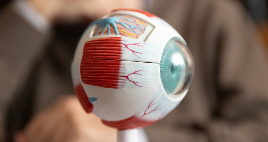 Esame del fondo oculare nel bambino: come si svolge?