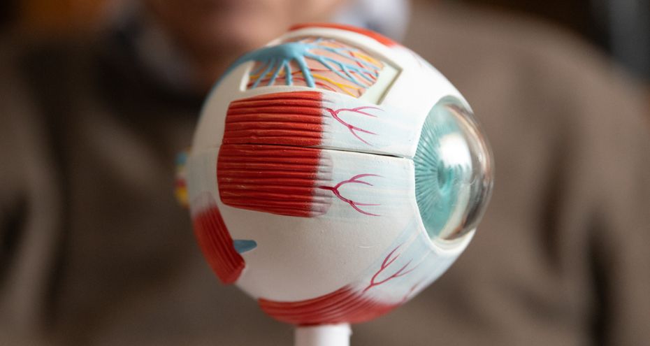 Ipermetropia nei bambini: sintomi e diagnosi